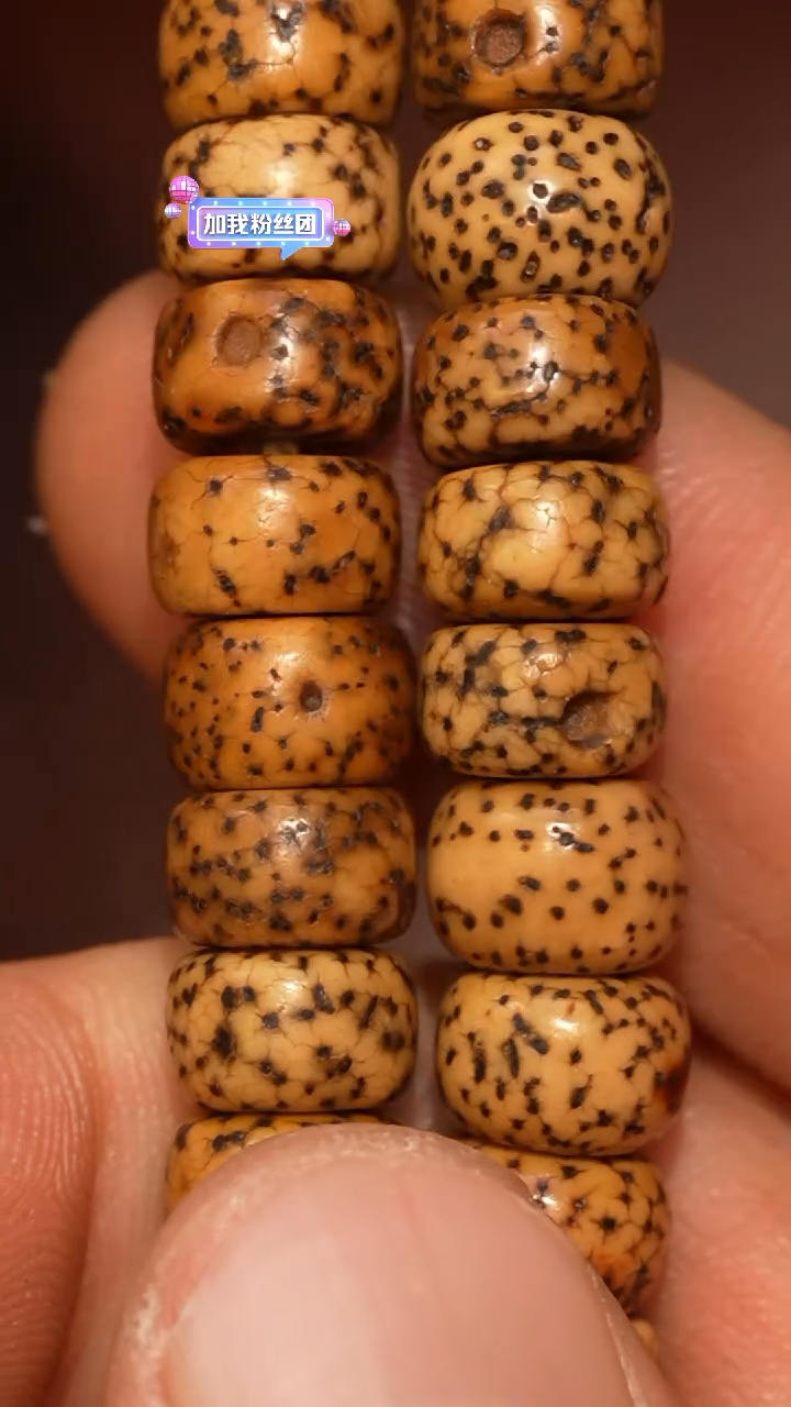 【闪购商品】冲赛康胡子哥，藏传念珠171