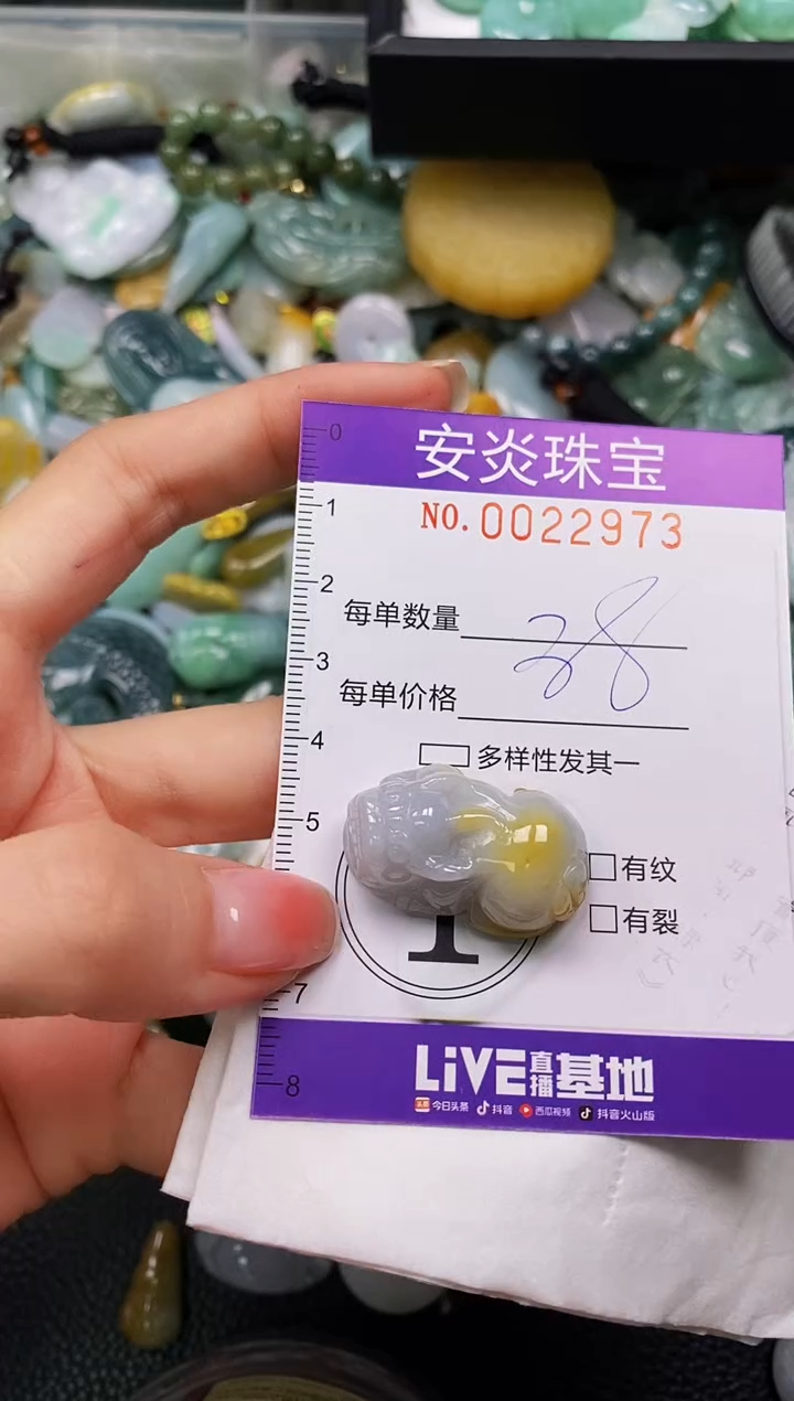 颈饰未镶嵌翡翠闪购0022973