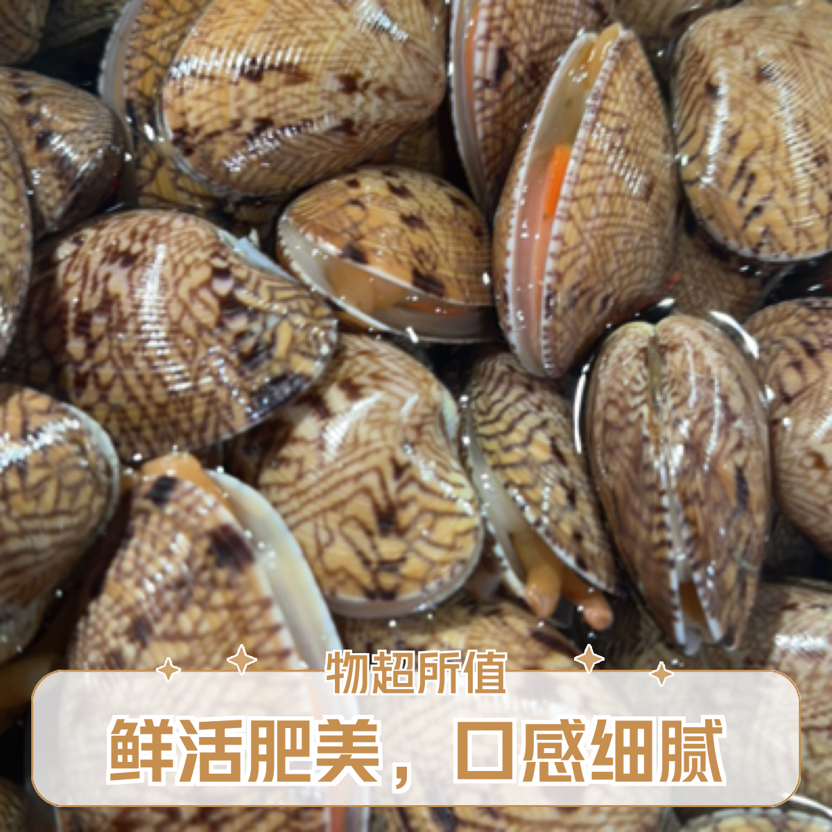 鲜活芒果贝约500g大小随机