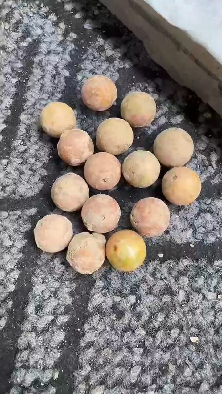 未镶嵌和田玉挂件赛*佗1