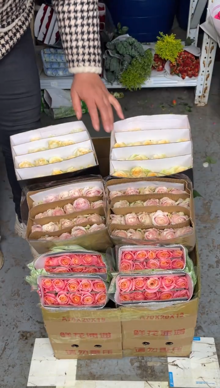 香槟20枝+粉红20枝+朱小姐20枝