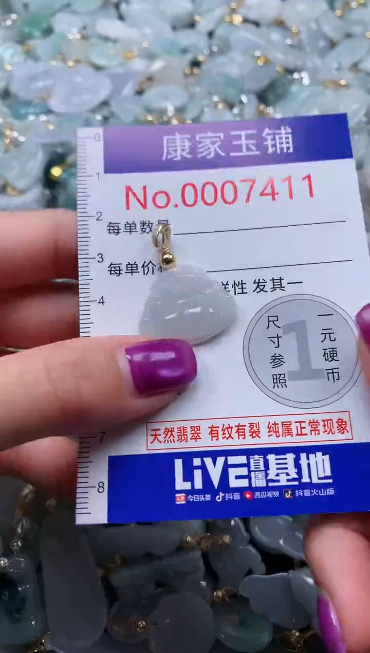 颈饰未镶嵌翡翠7411