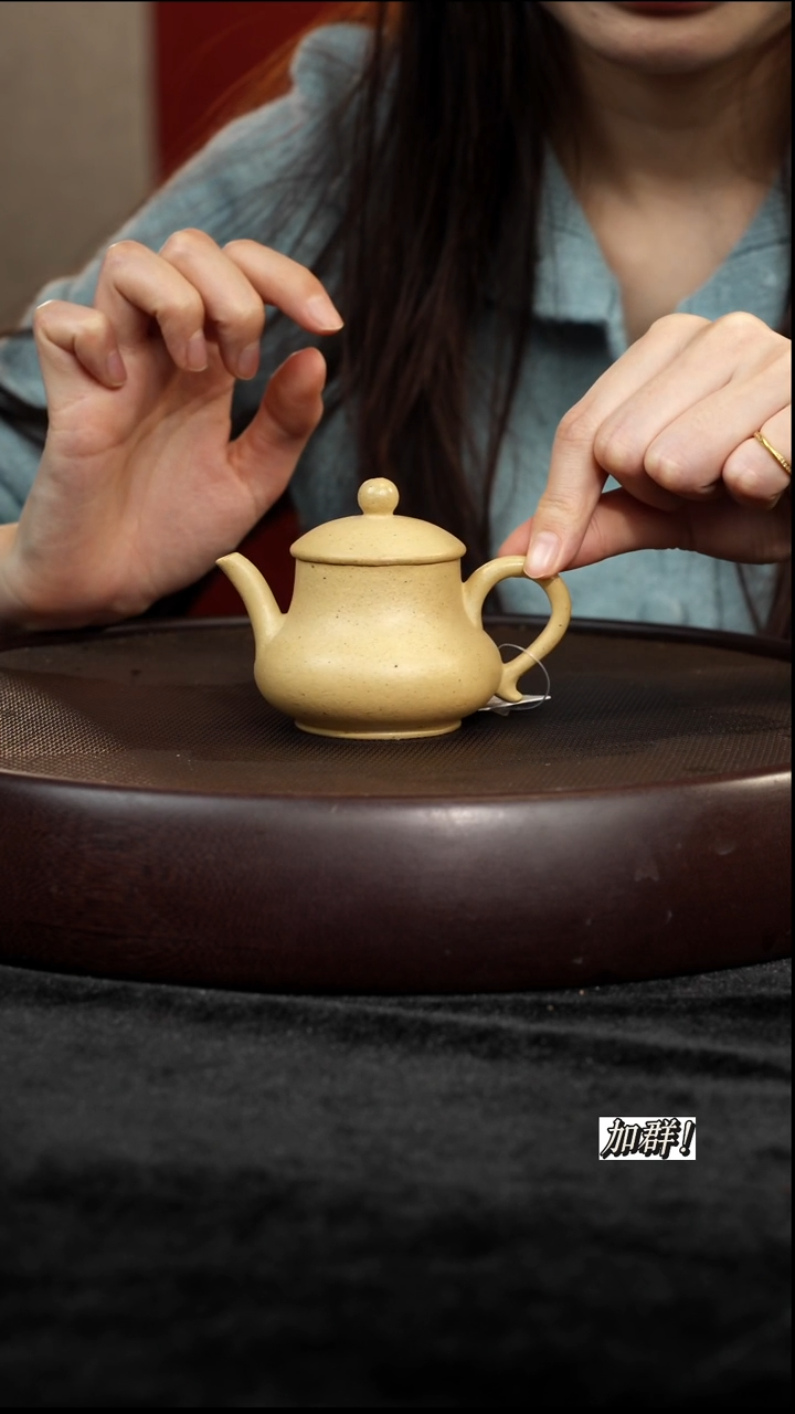 茶壶紫砂ZJ904186本绿矮潘130c