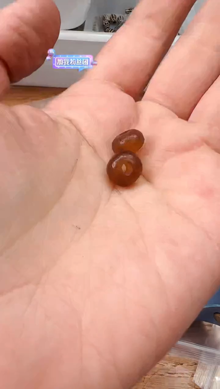 【闪购商品】玛瑙/玉髓颈饰未镶嵌【 肖钟出品 】