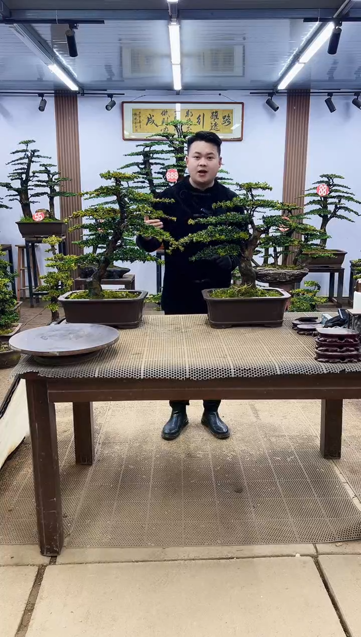 【闪购商品】00000000