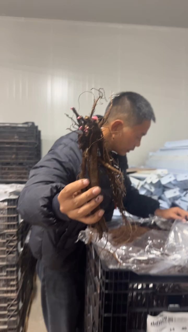 盐****司盐城   128   南星