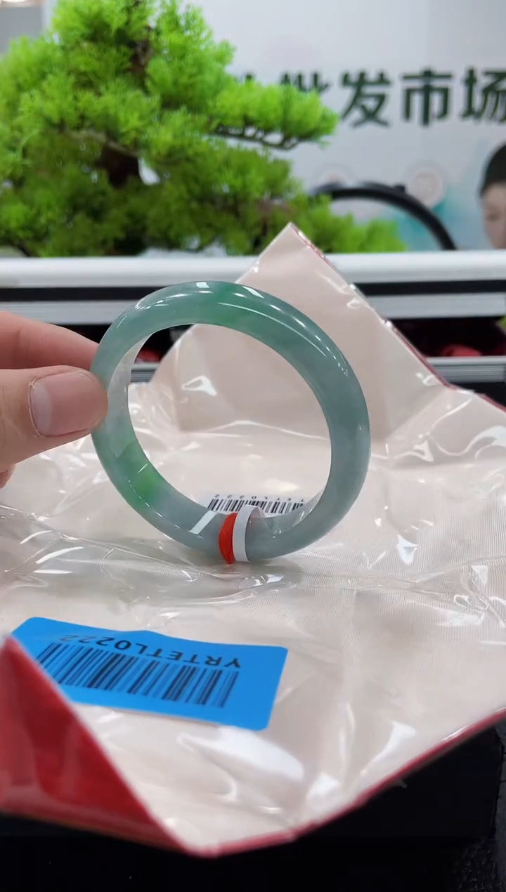 【闪购商品】翡翠手镯未镶嵌手镯