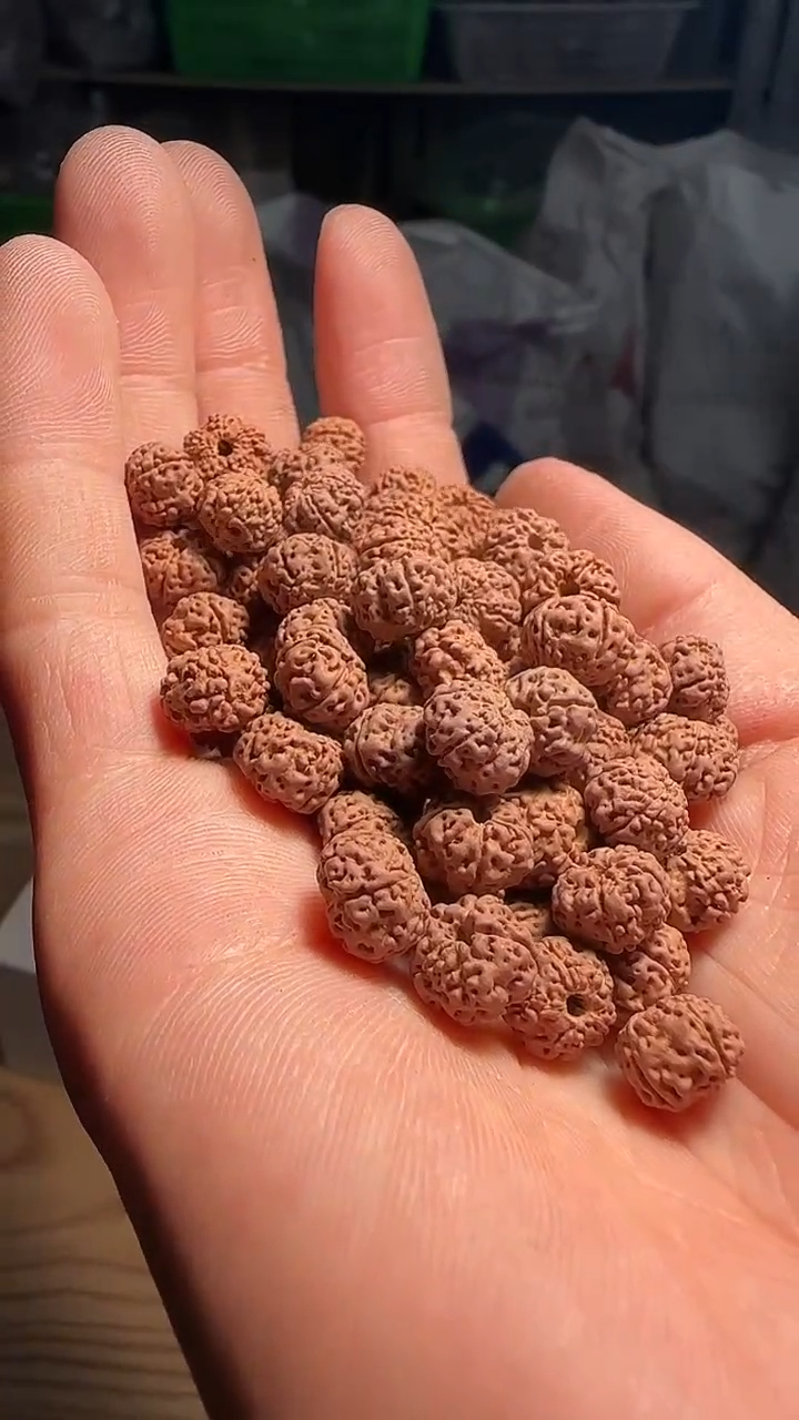 金刚菩提手串非全品平细散籽8-9mm一份一百颗