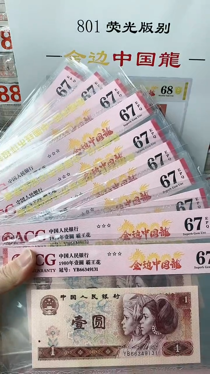 【闪购商品】金边中国龙YB66349131-40