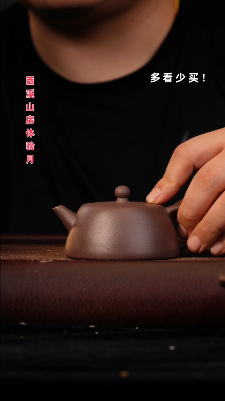 茶壶紫砂紫砂壶紫砂壶紫砂壶