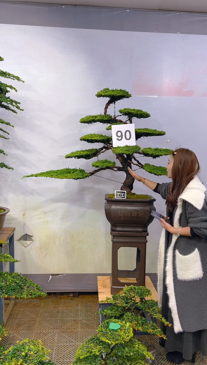 无花朵一物一拍一物一拍