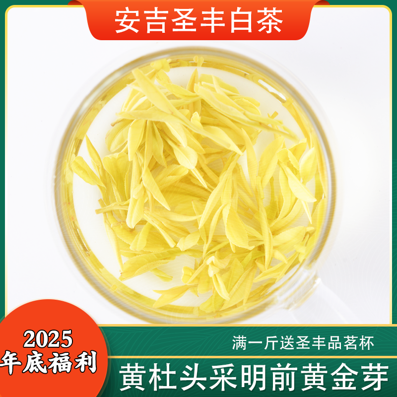 2025新茶【黄杜村 Y5】圣丰安吉浓郁口粮黄金芽核心原产地源头茶场
