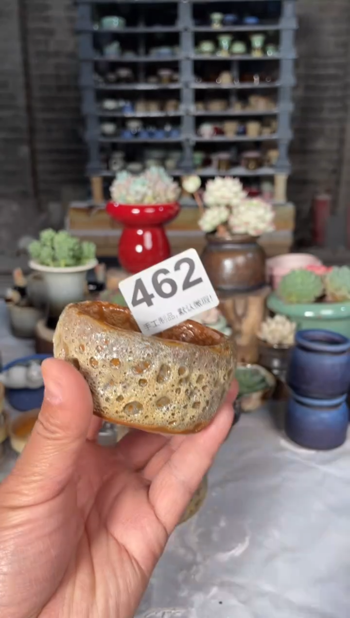 瓷片462小芳直播编号