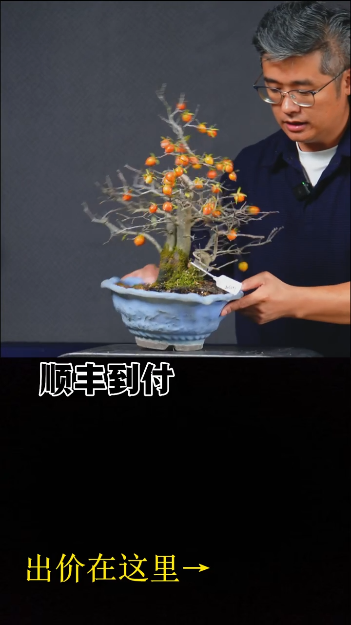 以实际为准老鸦柿buaboyou