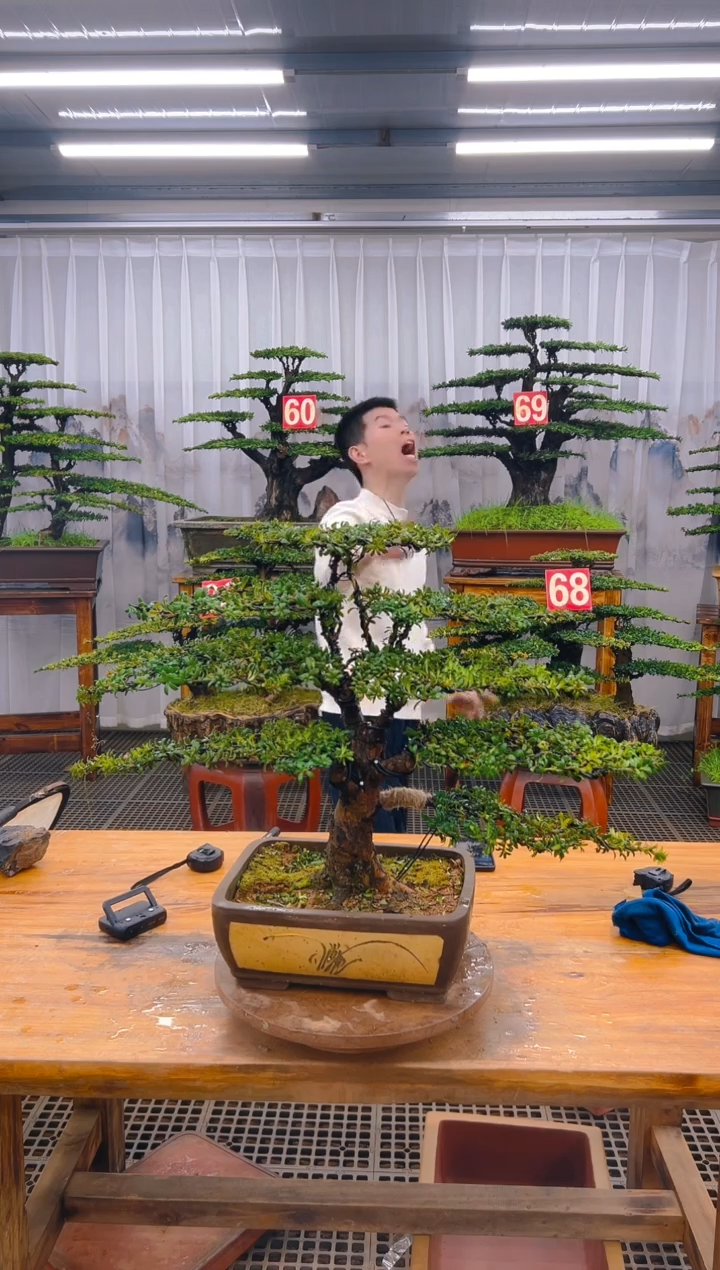 【闪购商品】紫砂精品盆景直播间一物一拍