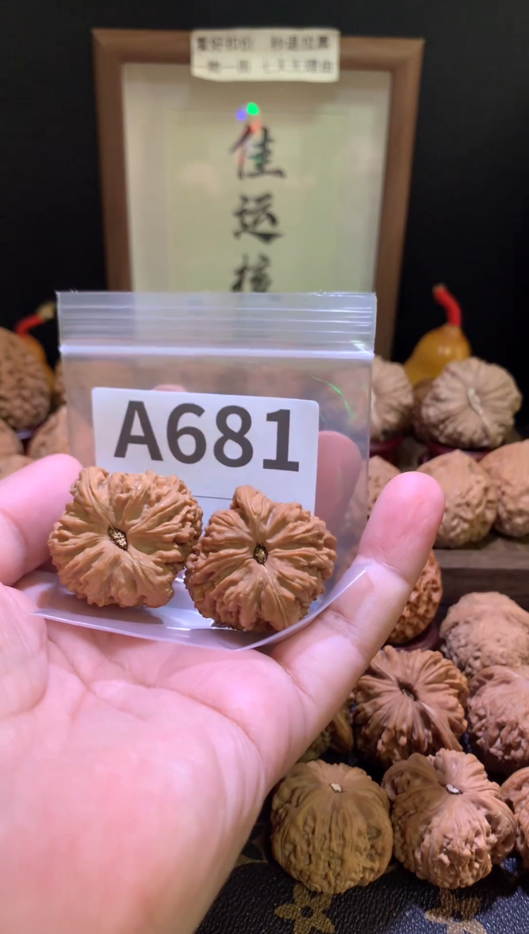 把件文玩核桃南疆石37尺