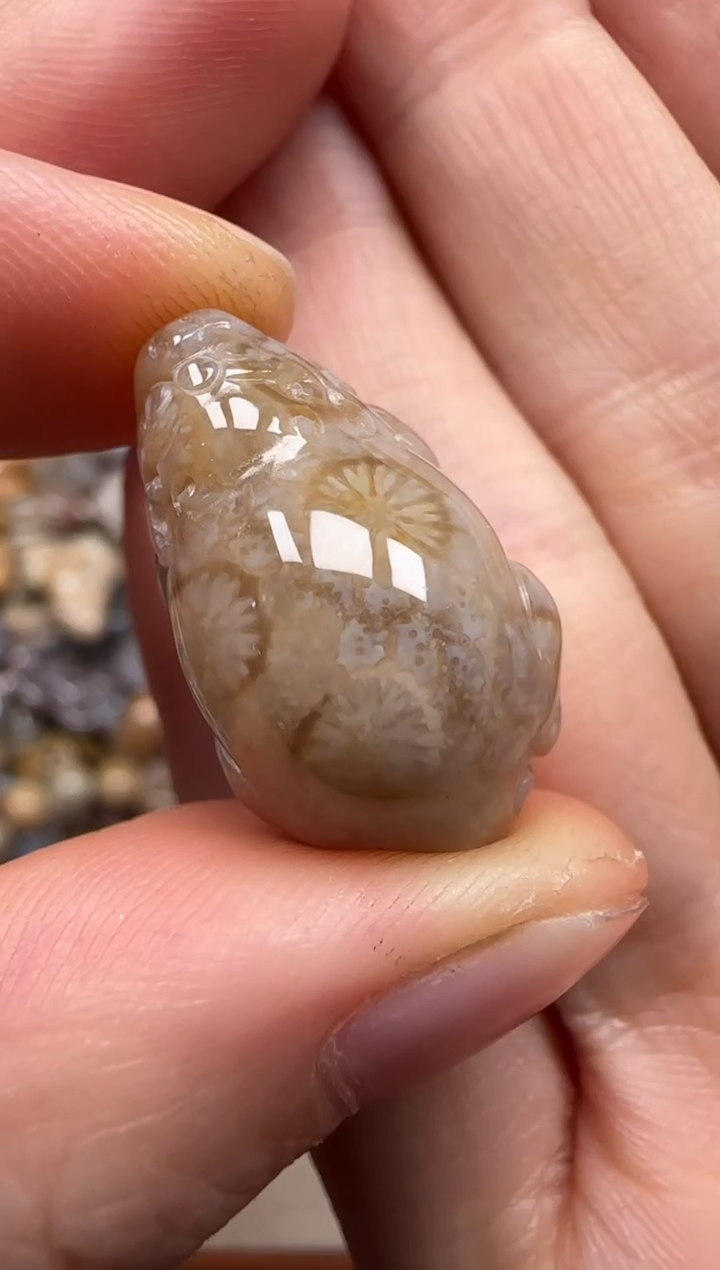 【闪购商品】硅化珊瑚（珊瑚玉）颈饰未镶嵌768