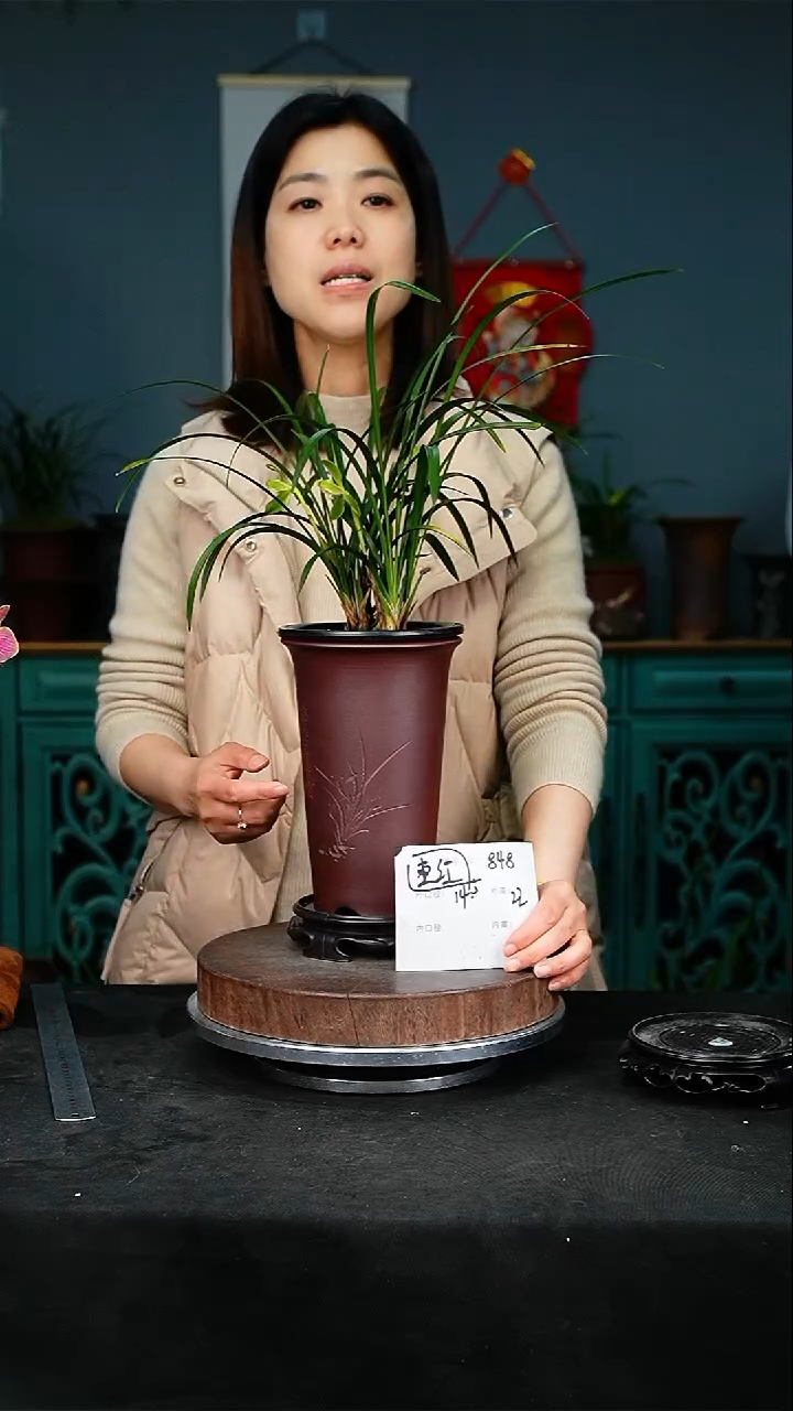 【闪购商品】紫砂花盆紫砂花盆848+S