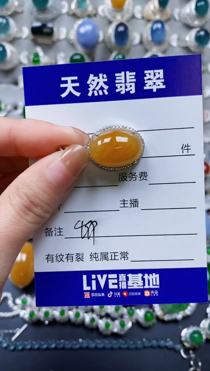 【闪购商品】翡翠颈饰银S925镶嵌0499