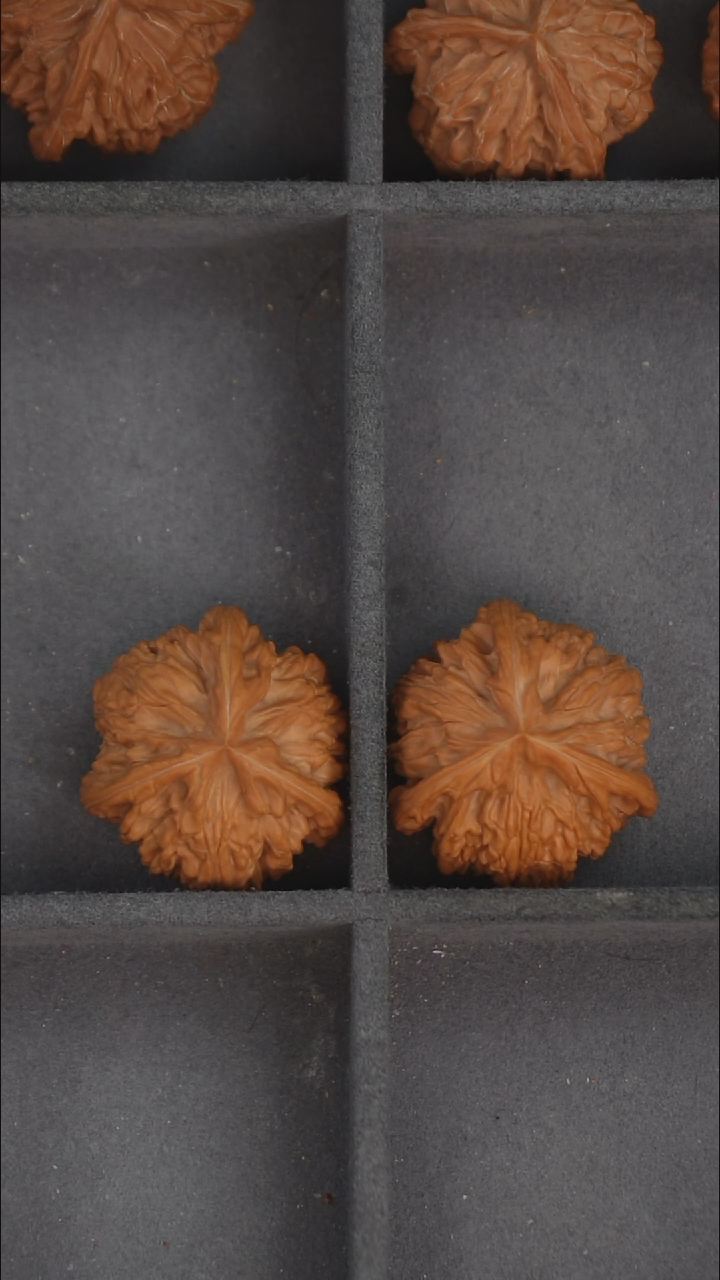 把件文玩核桃38左右定向文山三棱