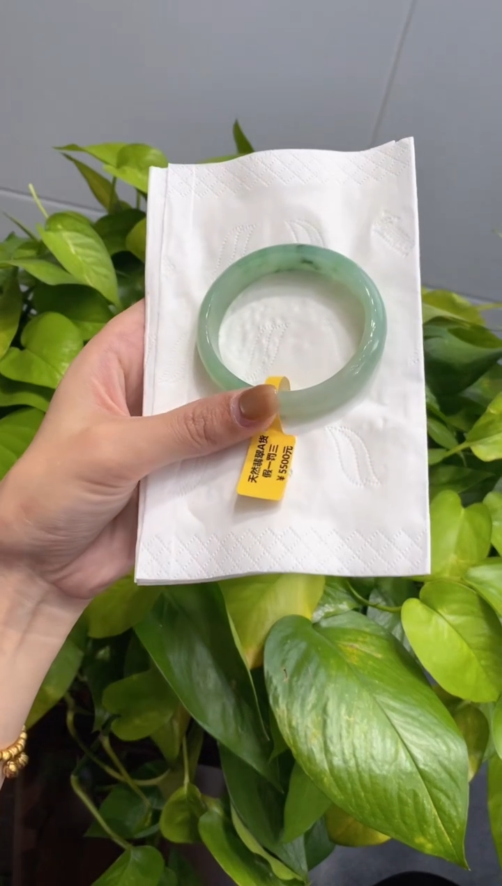 未镶嵌手镯翡翠000071549