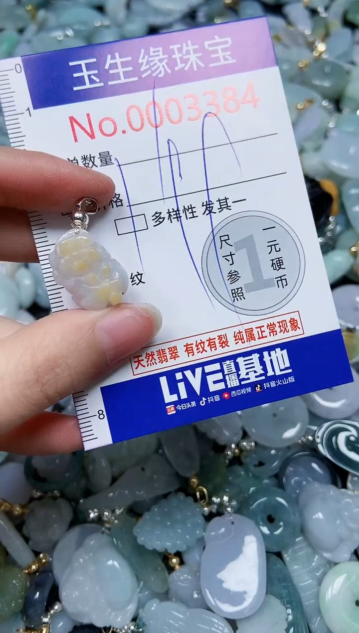 【闪购商品】翡翠颈饰未镶嵌闪购00003384