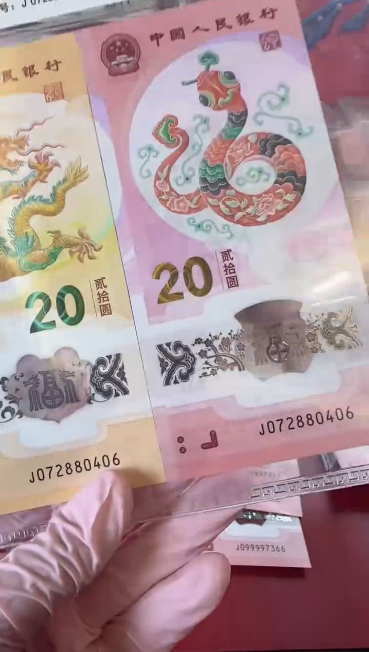 【闪购商品】塑料2025蛇钞全同号裸啊啊啊啊啊