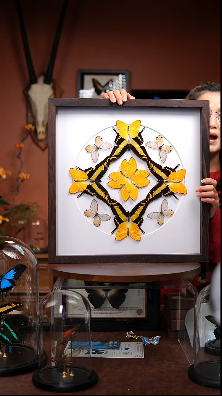 R86     多款蝴蝶组合大相框款