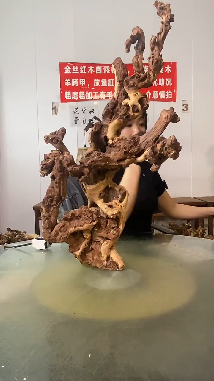 香榧木乌**王 金丝红木 羊蹄甲