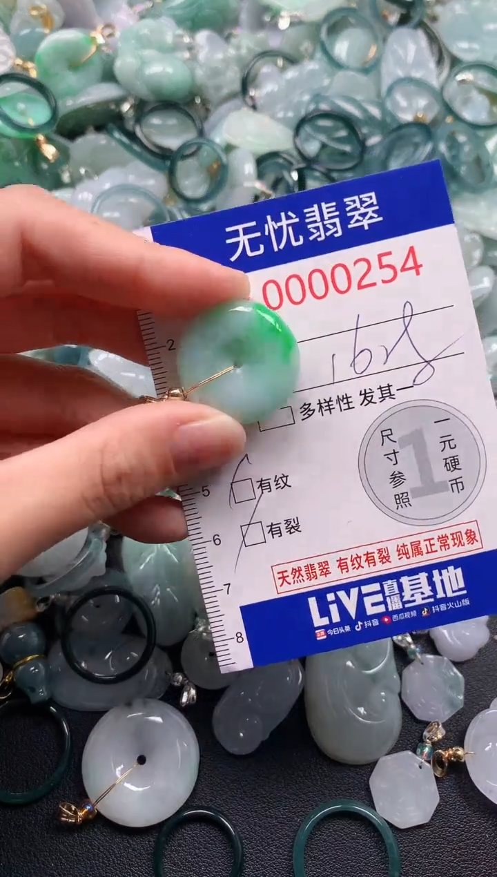 吊坠(不含链)未镶嵌翡翠254