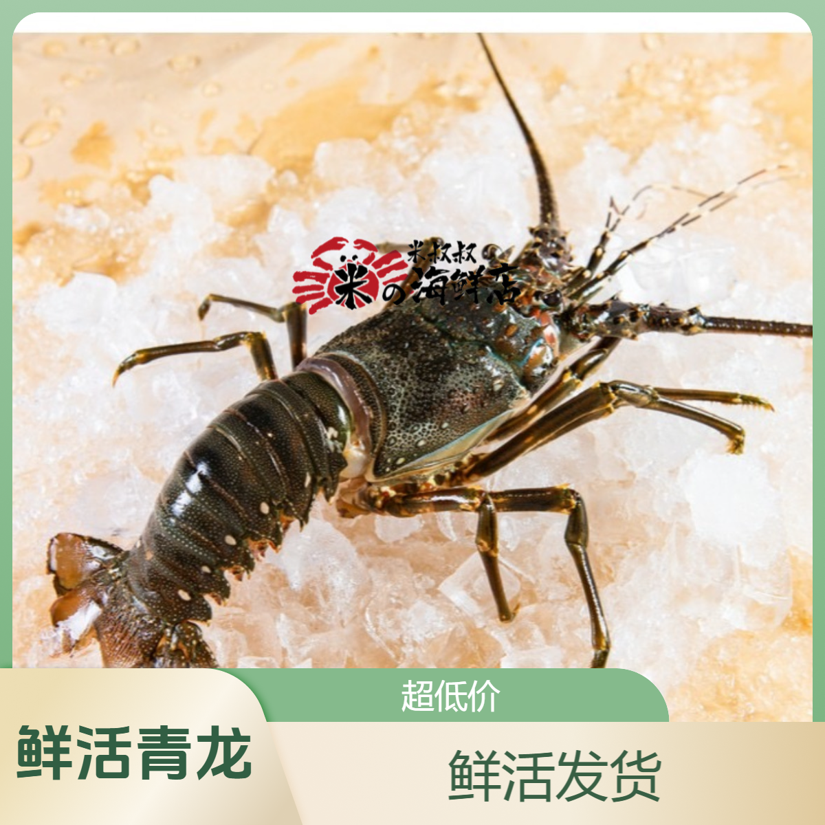 小青龙（鲜活）250g+默认宰杀