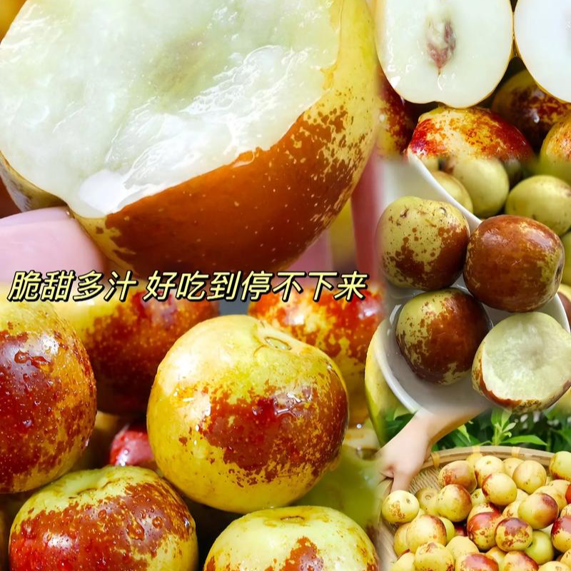 《全国次日达》正宗陕西大荔冰糖冬枣，脆甜化渣，现摘现发，甜过初恋陕西省
