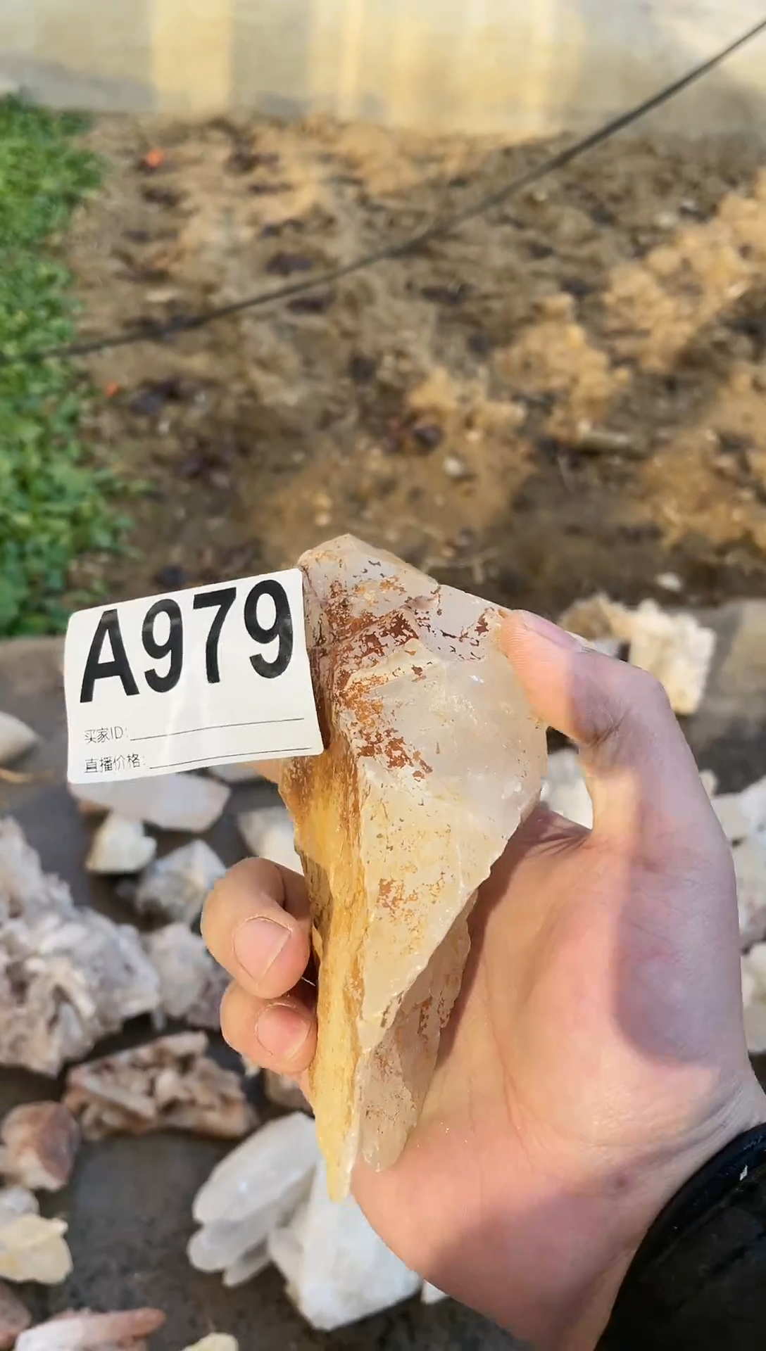 【闪购商品】水晶摆件未镶嵌水晶  979