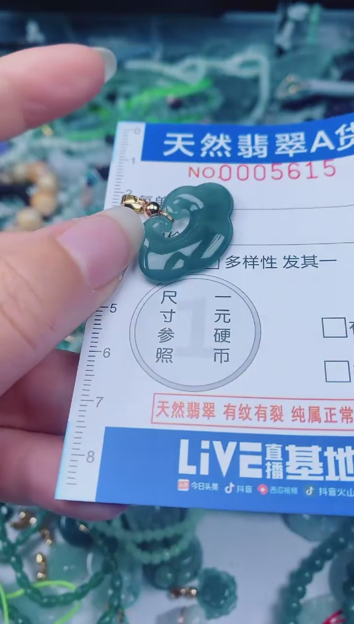 颈饰未镶嵌翡翠00005615