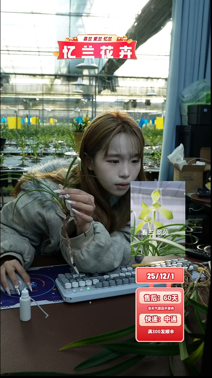 当前无花栽培后可以开花翠苑