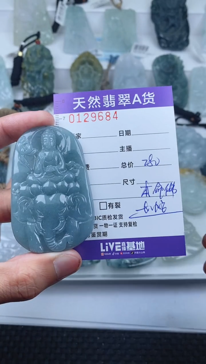 【闪购商品】翡翠颈饰未镶嵌         684