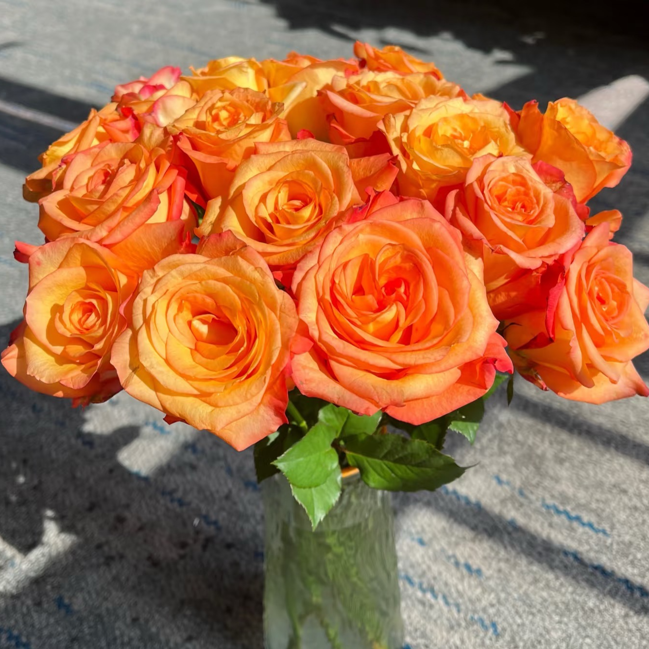 【金辉单头玫瑰】 收到需醒花 云南爆品鲜花基地直发