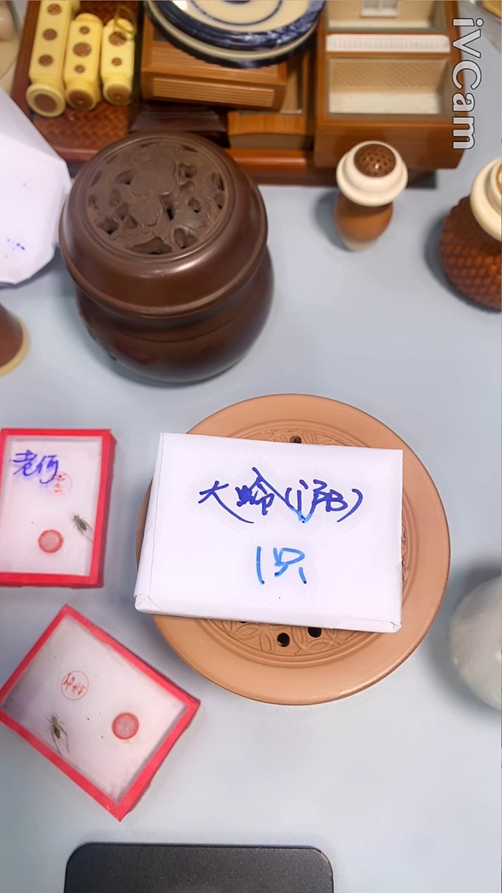 新到石志明沪b一条