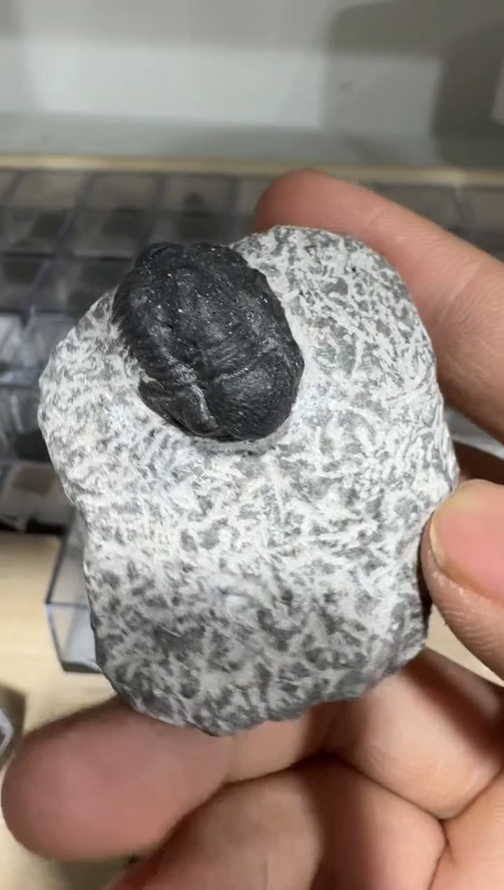 【闪购商品】月下珠宝矿物严选