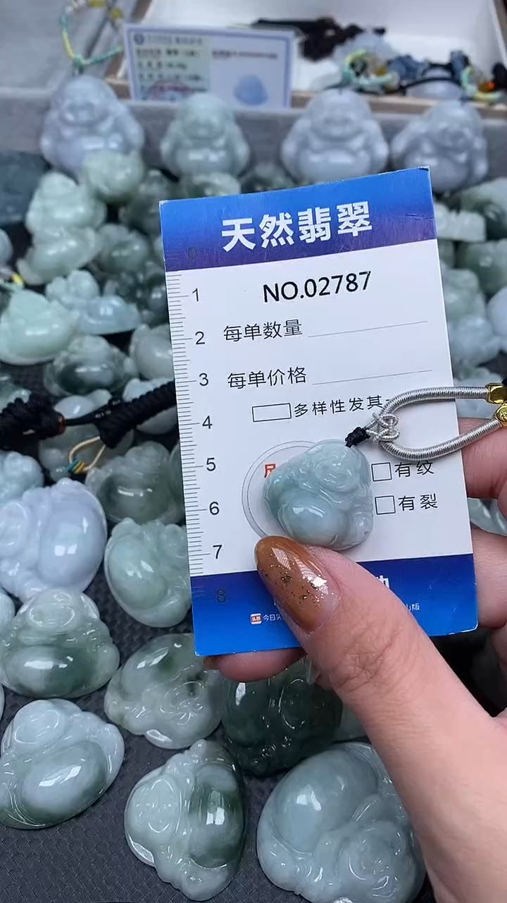 颈饰未镶嵌翡翠纯天然A货翡翠2787