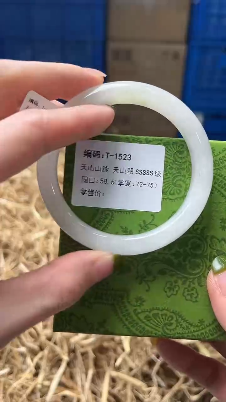 未镶嵌手镯石英质玉T1523