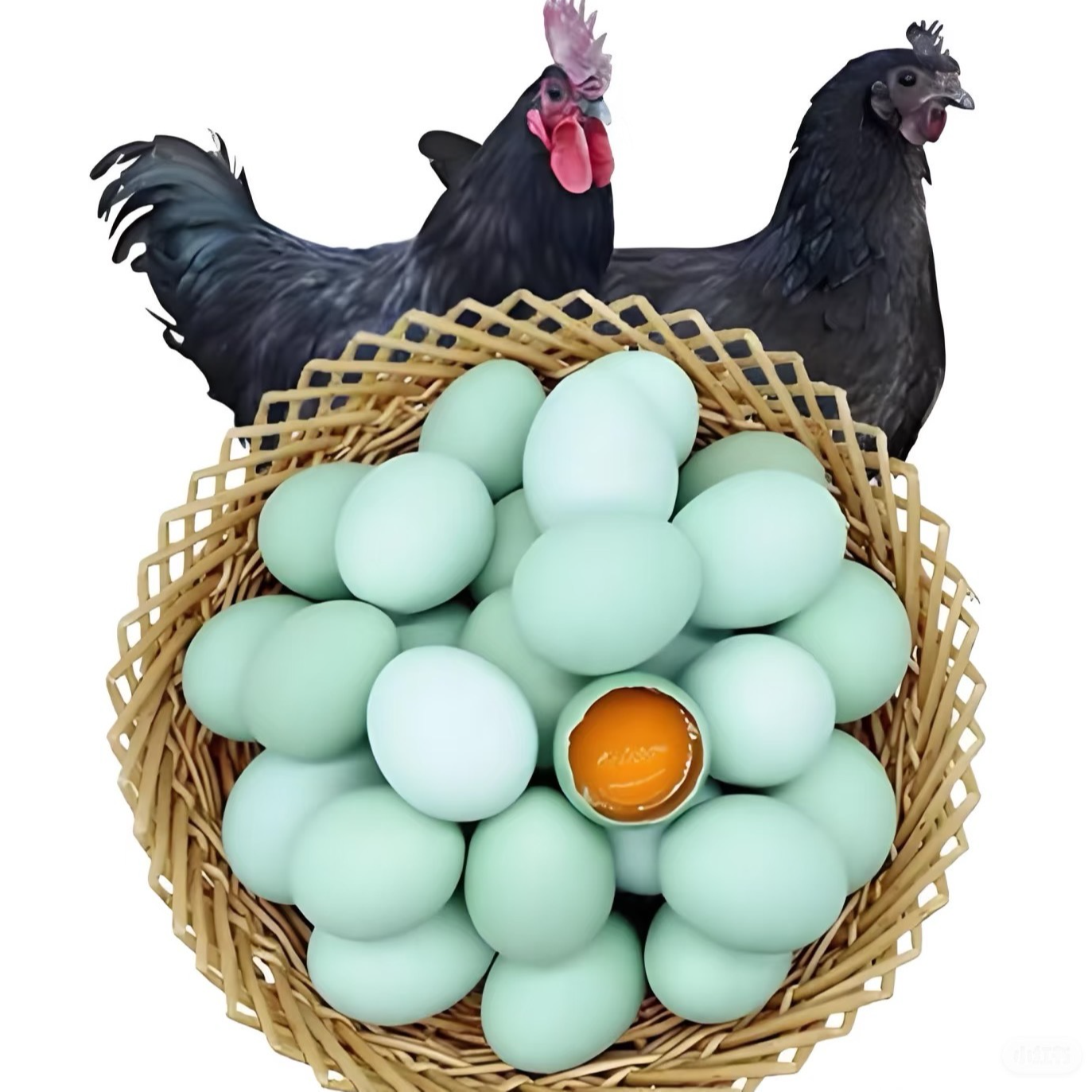 星爵霖50枚精品绿壳乌鸡蛋一箱50枚散养土鸡蛋绿壳乌鸡蛋早餐