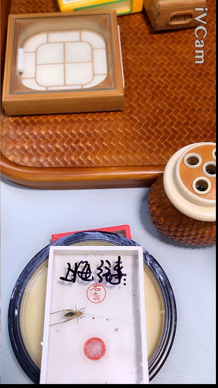 上**事上海往事沪a哈哈哈哈