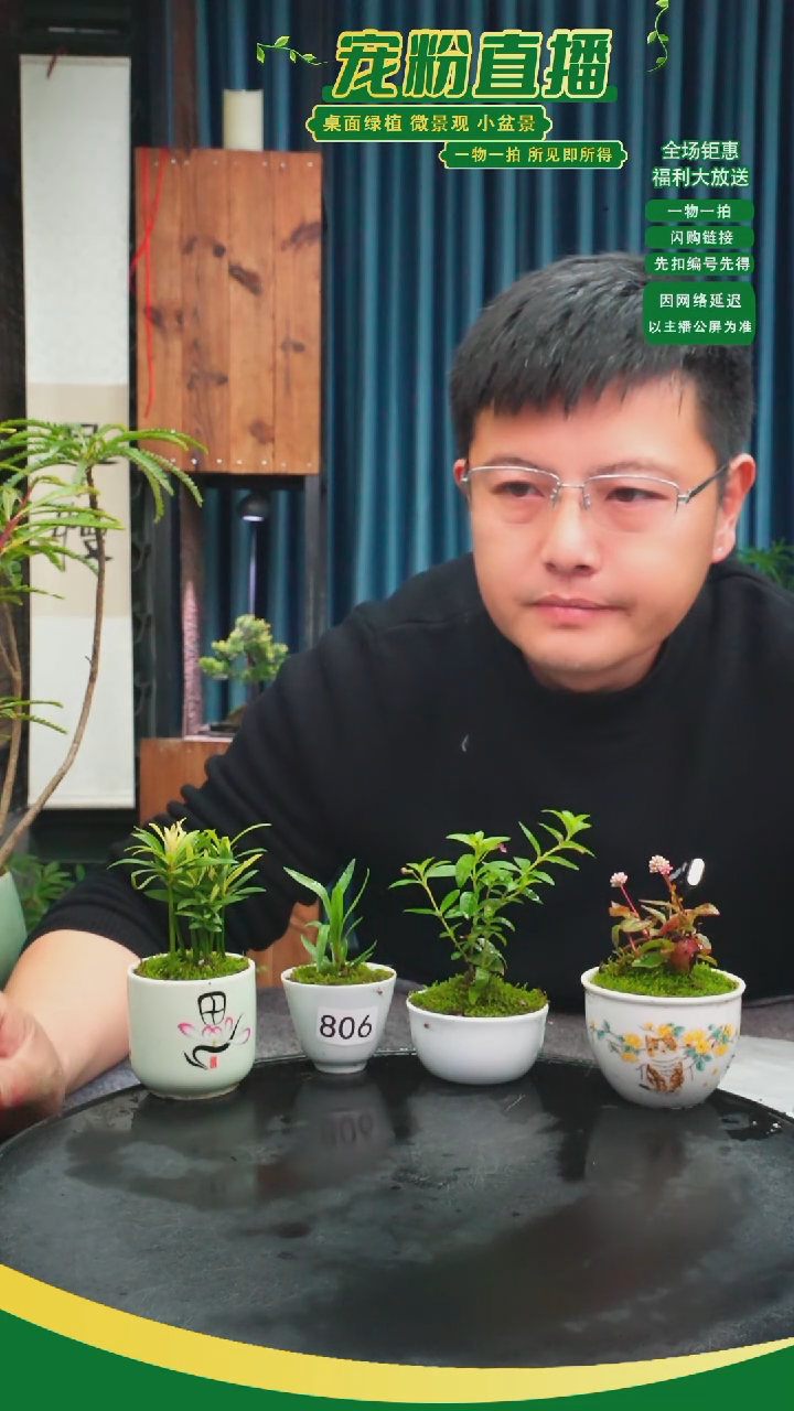 无花朵J****@苔藓微景观806号