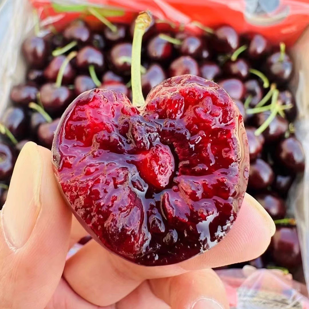 【顺丰空运】智利车厘子进口大樱桃J-4JJJ新鲜水果礼盒内附果径卡