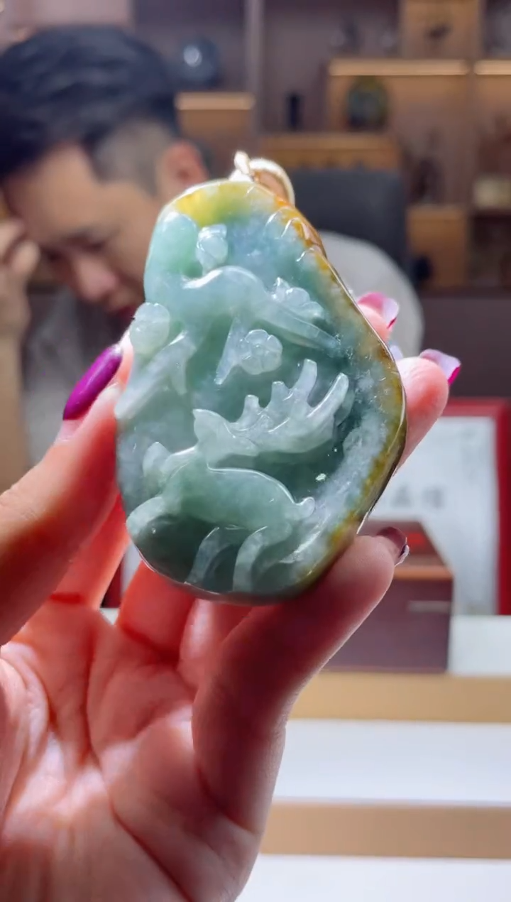 翡翠未镶嵌颈饰翡翠