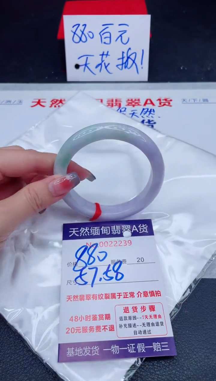 未镶嵌手镯翡翠880.00