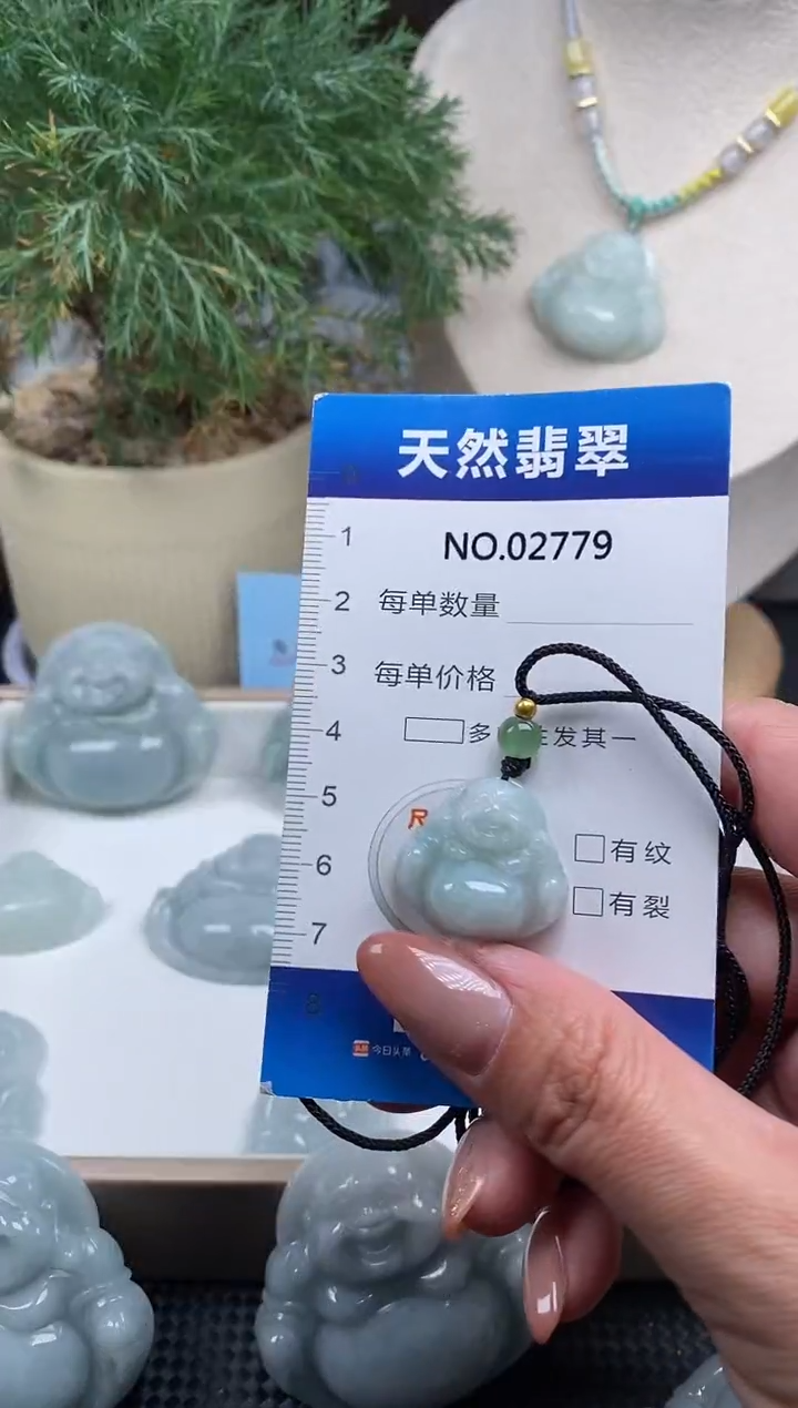 颈饰未镶嵌翡翠纯天然A货缅翡2779