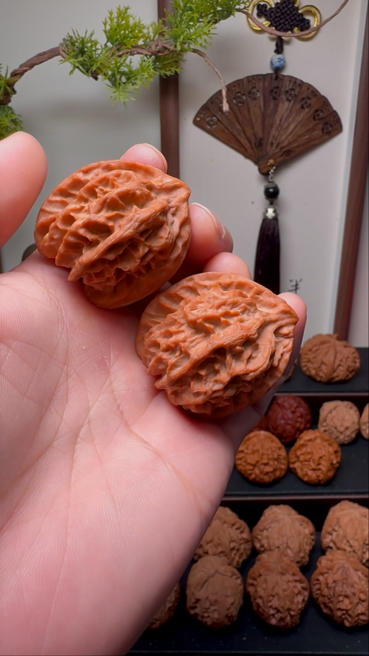 把件文玩核桃曹大龙异形鹰嘴儿 货头对