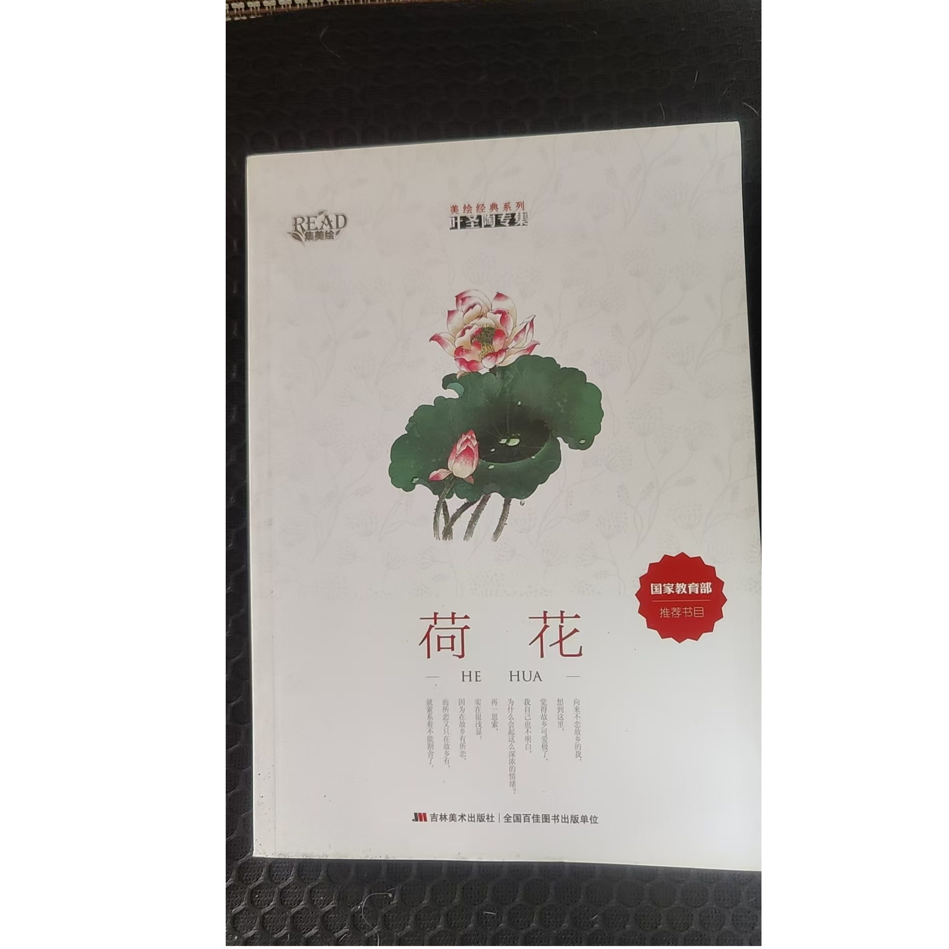 美绘经典系列荷花正版图书
